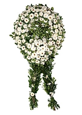 Beyaz Gerbera Cenaze Çelengi