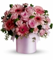 Toz Pembe Rüyalar