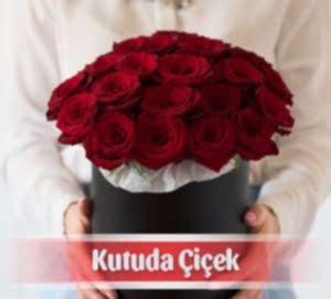 Kutuda Çiçek, Kutuda Gül