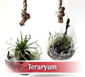 Teraryum Modelleri, Teraryum Fiyatları