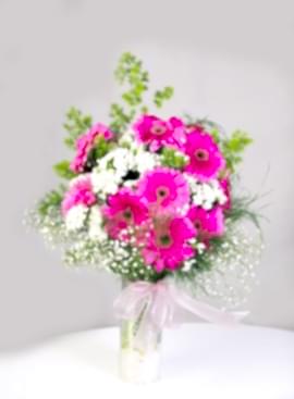12 Adet Gerbera