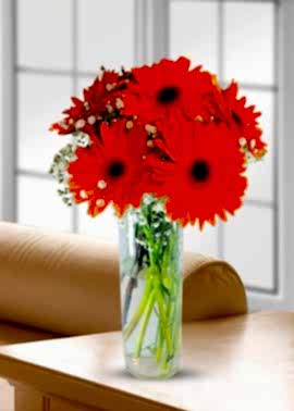 Vazoda Turuncu Gerbera Aranjmanı